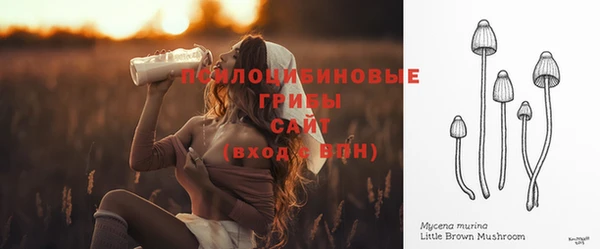 индика Алзамай