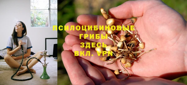 ECSTASY Алексеевка